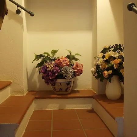 Nel Giardino In Fiore Bed & Breakfast Olia Speciosa