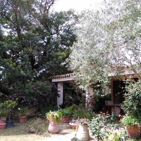 Nel Giardino In Fiore Bed & Breakfast *