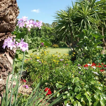 Nel Giardino In Fiore