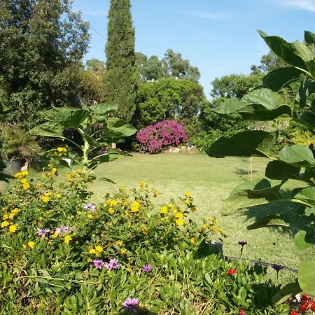 Nel Giardino In Fiore
