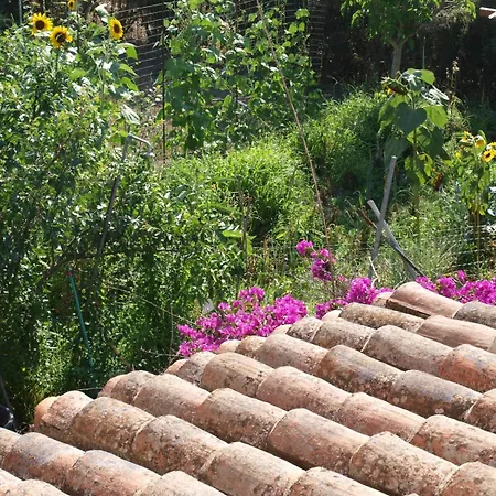 Nel Giardino In Fiore *