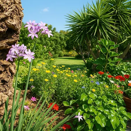 Nel Giardino In Fiore Bed & Breakfast Olia Speciosa