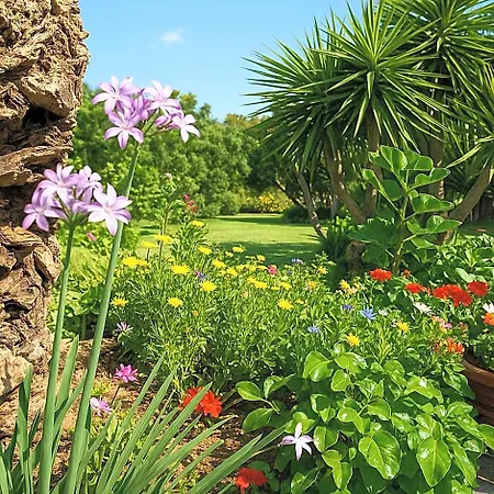 Nel Giardino In Fiore ベッド・アンド・ブレックファスト Olìa Speciosa