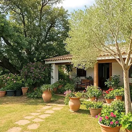 ベッド・アンド・ブレックファスト Nel Giardino In Fiore Olìa Speciosa